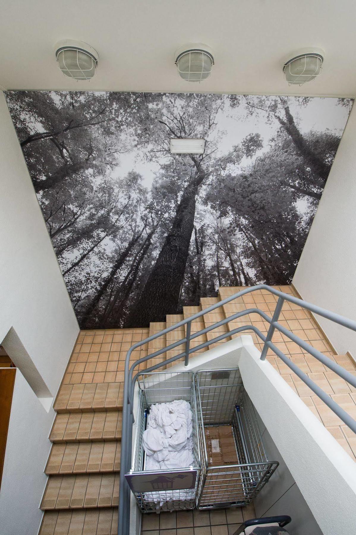Auberge De Jeunesse De La Roche - Champlon Tenneville エクステリア 写真